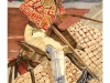 2011-03picador(Medium)