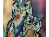 2011-08Buhos(Medium)