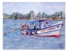 2012-05Recogiendoredes(Medium)