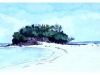 2012-05playadesierta(Medium)