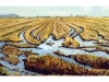 2012-12-otonodelluvias-medium