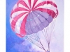 2014-02comounpajaro-medium